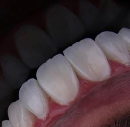 تصویر گالری فرانک سلگی 2