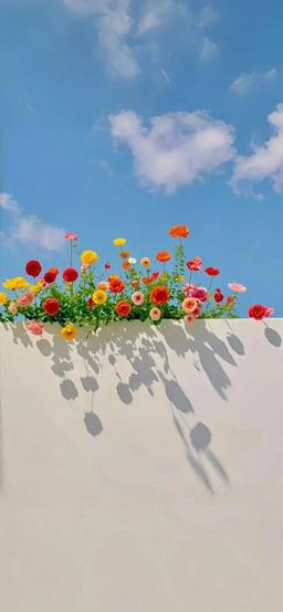 تصویر گالری فرزانه حداد 1