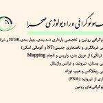 تصویر گالری حامد اسمعیلی گورابی 6