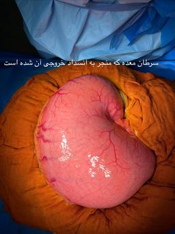 تصویر گالری میلاد صیادی 7