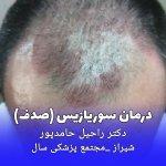 تصویر گالری راحیل حامدپور 14