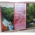 تصویر گالری مصطفی باقرآبادی ها 1