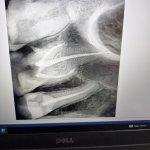 تصویر گالری فائزه نبوی 3