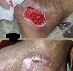 تصویر گالری مهدی فتوحی 6