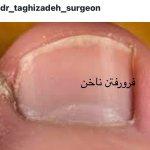 تصویر گالری محمدرضا تقی زاده 13
