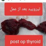 تصویر گالری محمدرضا تقی زاده 10