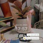 تصویر گالری مریم بابازاده 1