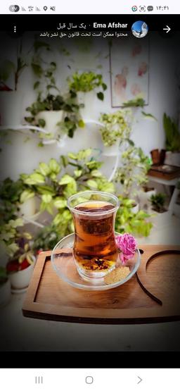 تصویر گالری الناز سهراب زاده 2