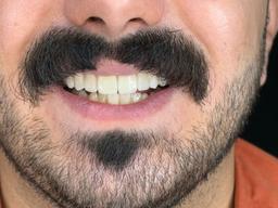 تصویر گالری مینا جلالیان 8