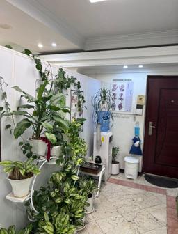 تصویر گالری الناز سهراب زاده 1