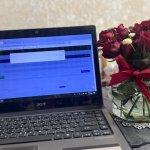 تصویر گالری دلارام زیراچی 1