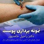 تصویر گالری راحیل حامدپور 16