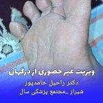 تصویر گالری راحیل حامدپور 12