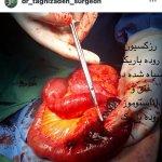 تصویر گالری محمدرضا تقی زاده 12