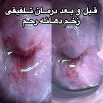 تصویر گالری فاطمه جدی 4