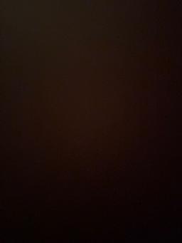 تصویر گالری پارسا امامی 1