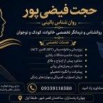 تصویر گالری حجت فیضی پور قجلو 2