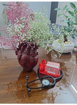 تصویر گالری آزاده اکبری 1