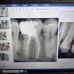تصویر گالری فائزه نبوی 5