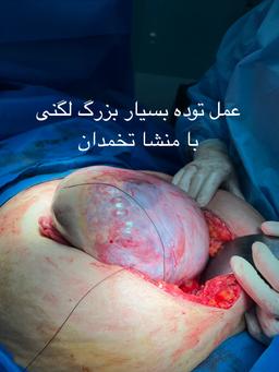 تصویر گالری میلاد صیادی 10