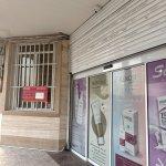 تصویر گالری سیدمحمدرضا شاه امیریان 2