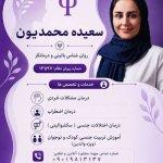 تصویر گالری سعیده محمدیون 1