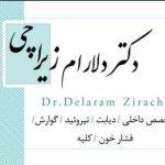تصویر گالری دلارام زیراچی 2
