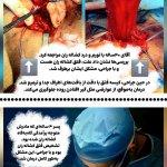 تصویر گالری جواد معاوی 12