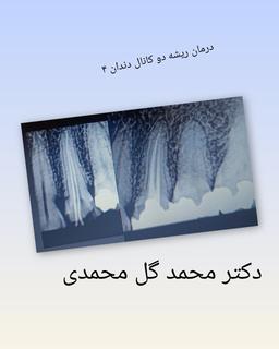 تصویر گالری محمد گل محمدی 8