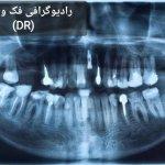 تصویر گالری نسرین امینی 28
