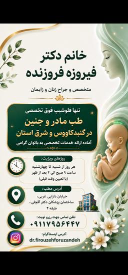تصویر گالری فیروزه فروزنده 2