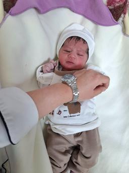 تصویر گالری خاقانی فر 6