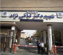 تصویر گالری محمدامین باقری 3