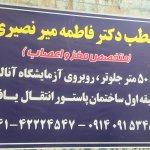 تصویر گالری سیده فاطمه میرنصیری 1