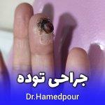 تصویر گالری راحیل حامدپور 9