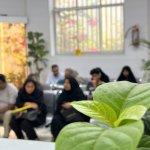 تصویر گالری مهدی شیبانیان 4