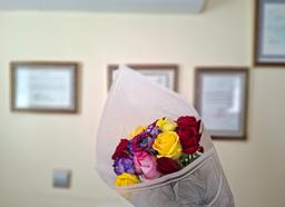 تصویر گالری جمیله شیخی 6
