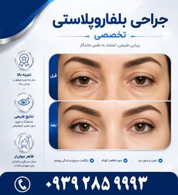 تصویر گالری افسانه ملک پور 3