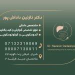 تصویر گالری نازنین داداش پور 1