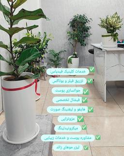 تصویر گالری زهرا زادکمالی 1