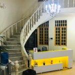 تصویر گالری امین شکوری 3
