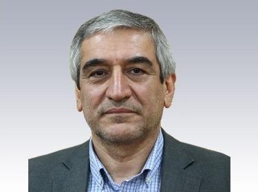 بیوگرافی دکتر حسین محمد ربیع