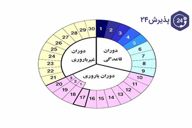 بهترین زمان برای لقاح بارداری دختر