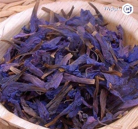 گل گاو زبان