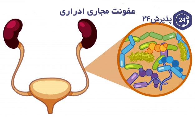 عفونت باکتریایی | علل ابتلا، راه های درمان و پیشگیری