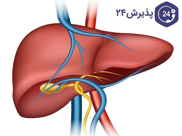 کیسه صفرا | نشانه های بروز مشکل کیسه صفرا