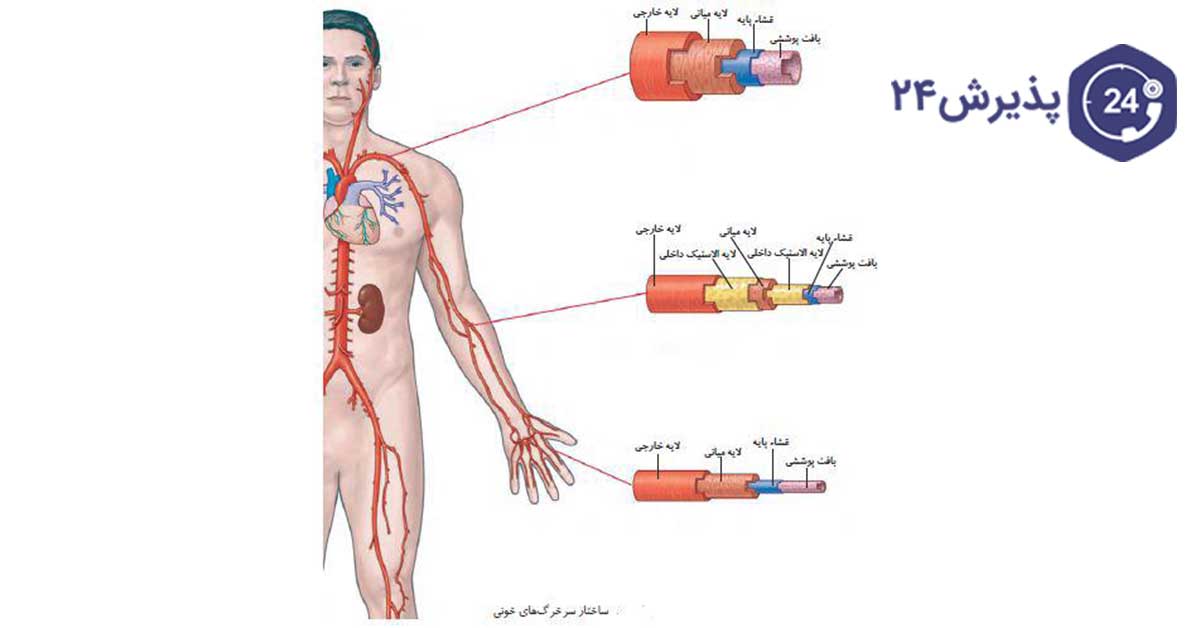 چرا رگ قلب گشاد میشود