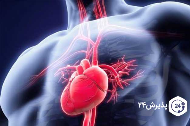 عکس قلب بدن انسان
