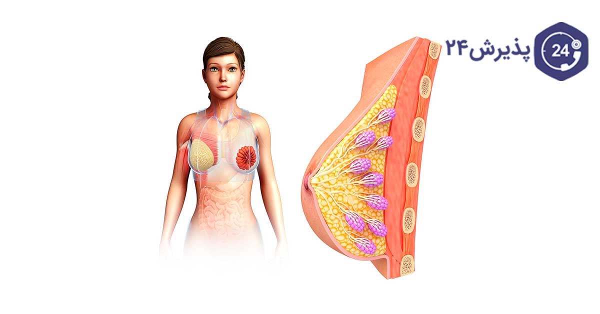 علل افتادگی سینه بعد از شیردهی