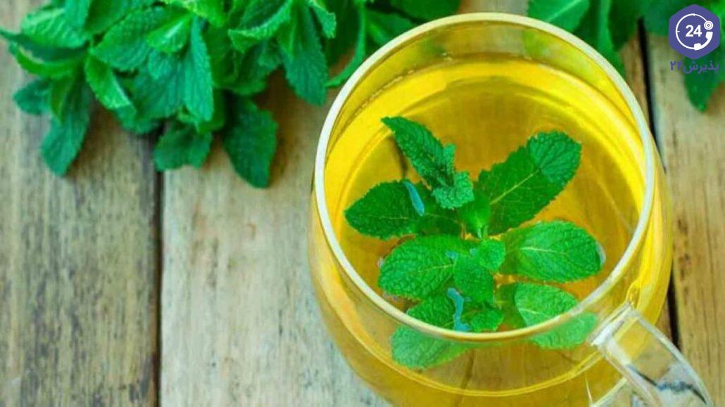 نعناع برای تهوع بارداری
